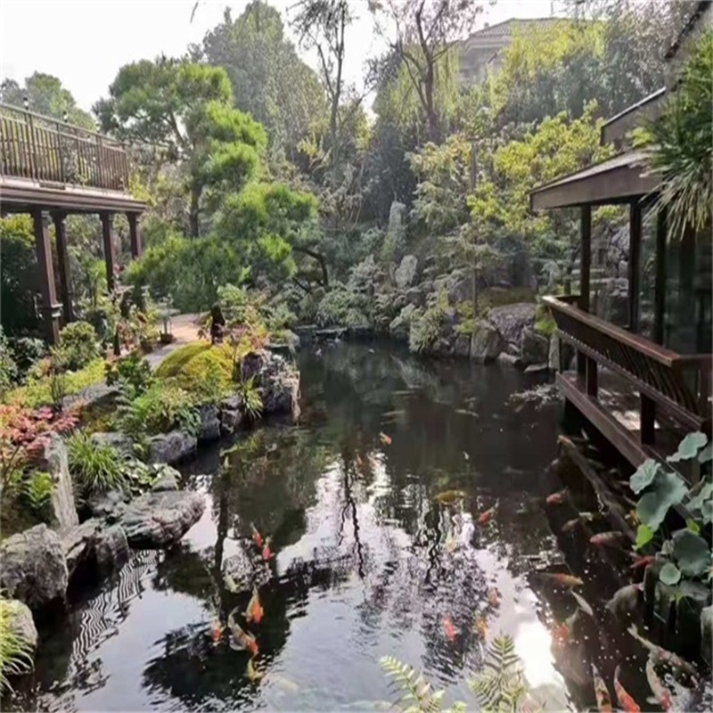 三水小庭院假山鱼池